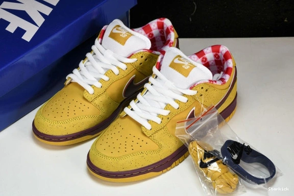 SB Dunk Yellow Lobster 313170-137566 Nike Low 0331